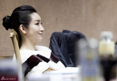 袁泉娱乐小说,娱乐圈的璀璨星辰