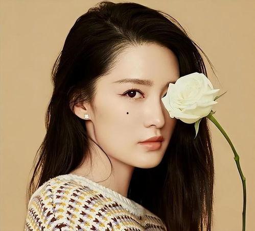 干净的明星,探寻干净形象背后的魅力人生