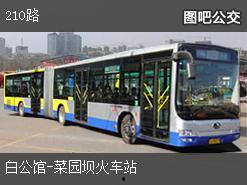 重庆公交图片,穿梭山城的流动画卷