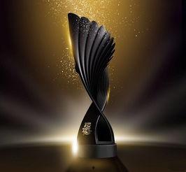 明星奖杯,揭秘明星们的荣耀奖杯背后的故事