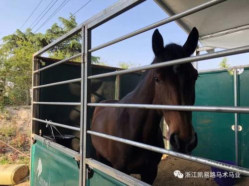 戴妮图片,时尚与魅力的完美融合