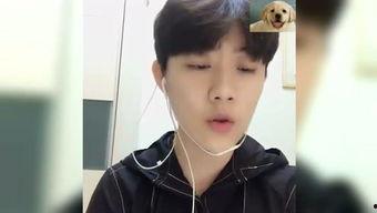 小帅哥明星,小帅哥明星的璀璨成长之路